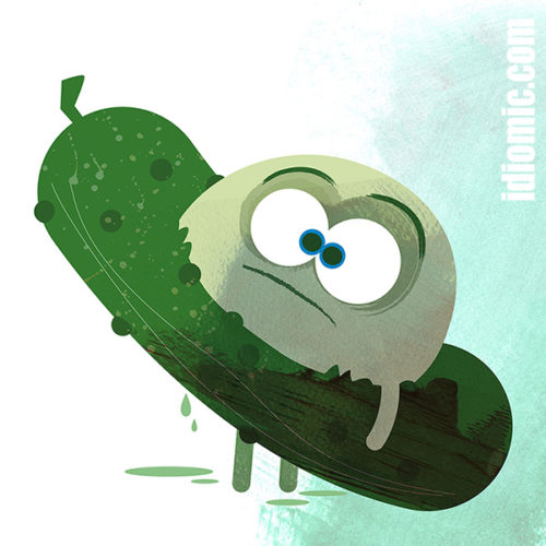 in-a-pickle-illustrated-at-idiomic-definition-example-and-origin